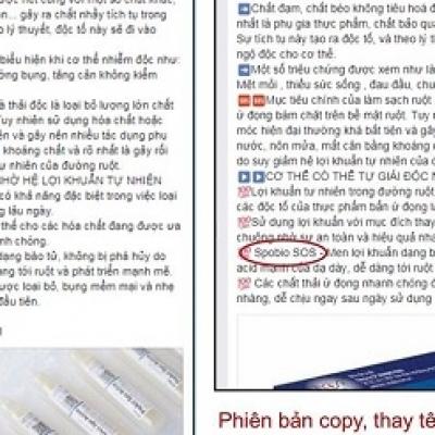 Chuyện đạo văn của tiến sĩ